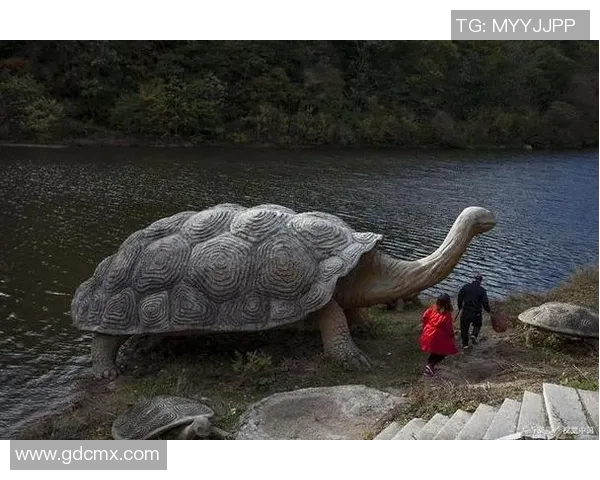 姚明与龟的奇妙生活：从养龟看人生哲学与坚持的力量